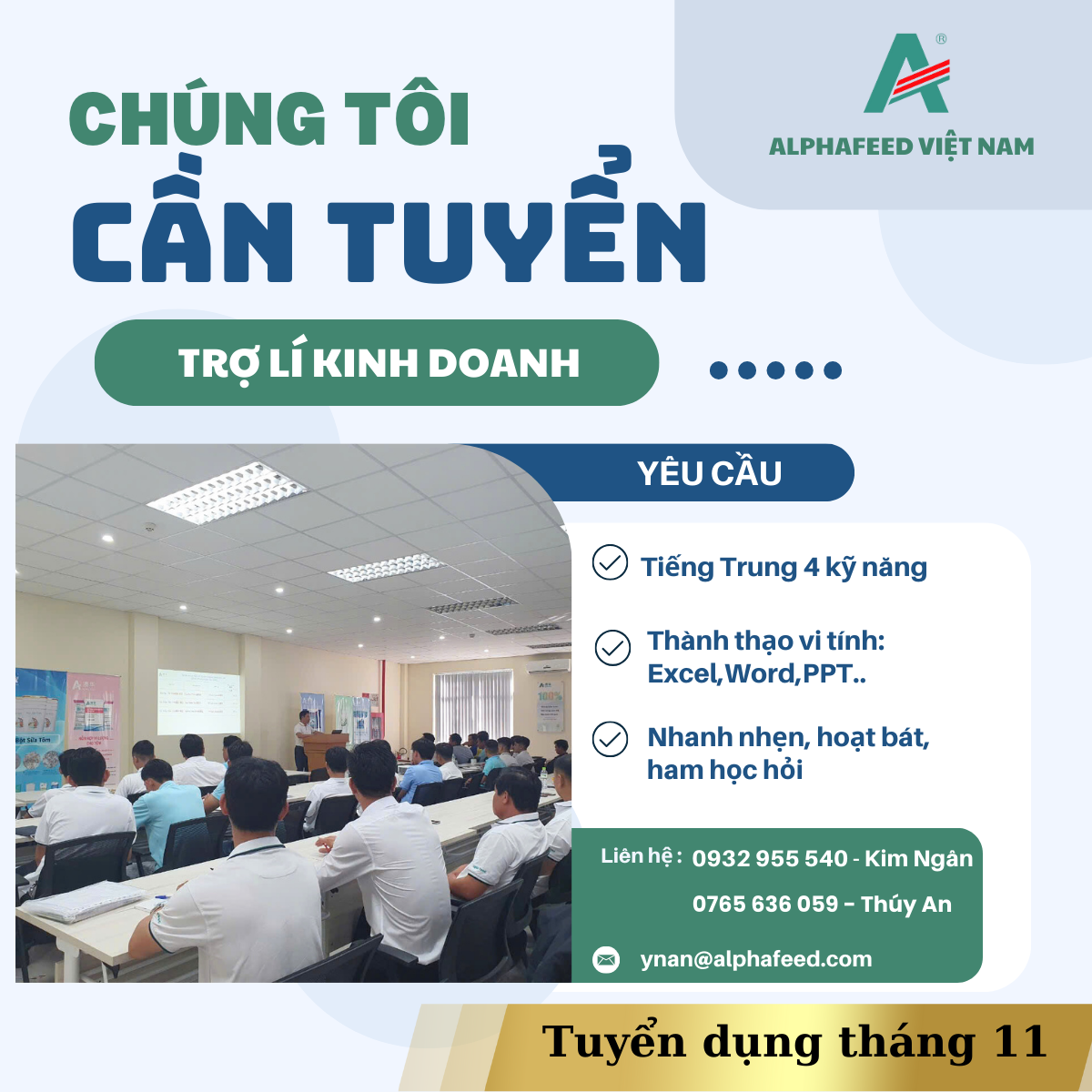 lĩnh vực hoạt động